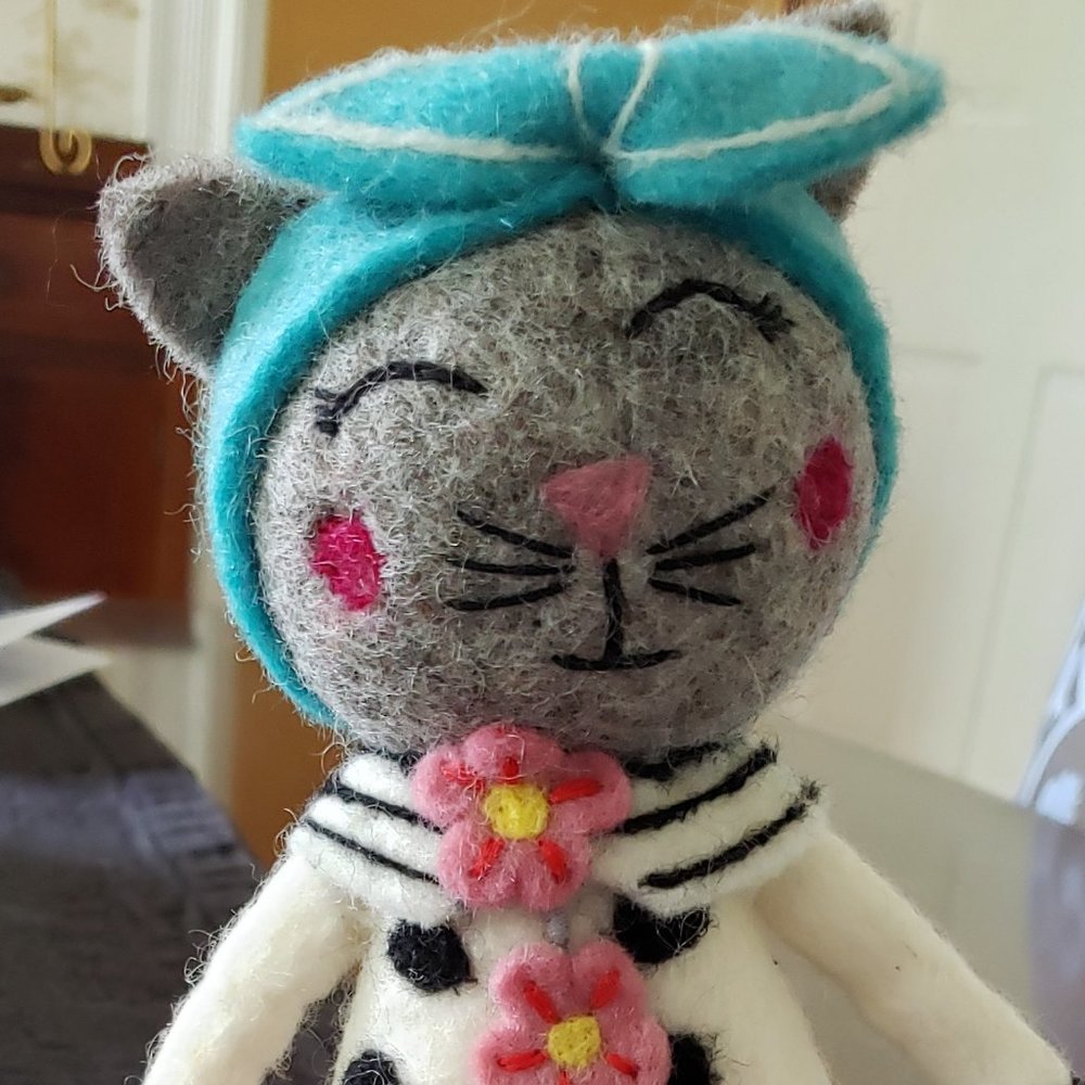 Sophia the cat